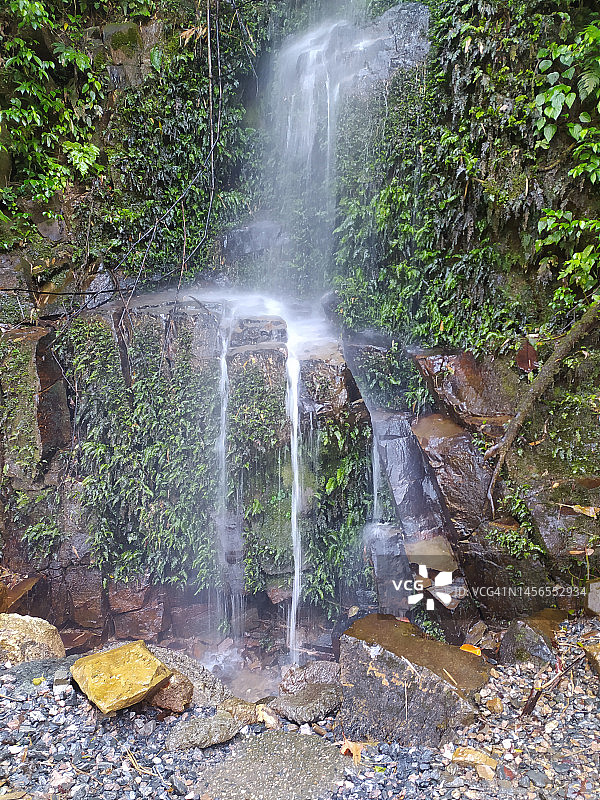 大西洋雨林中从岩石上落下的小瀑布图片素材