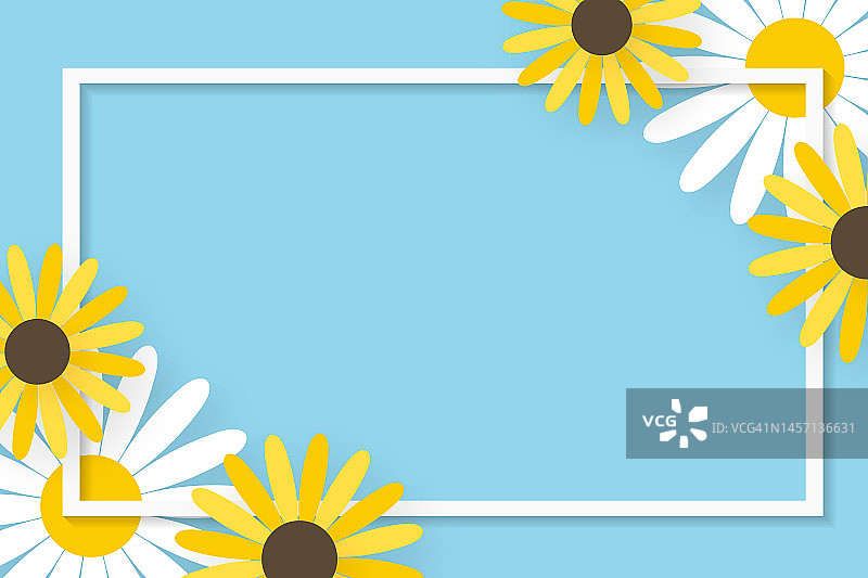 雏菊框架。彩色的花框。春旗概念。图片素材