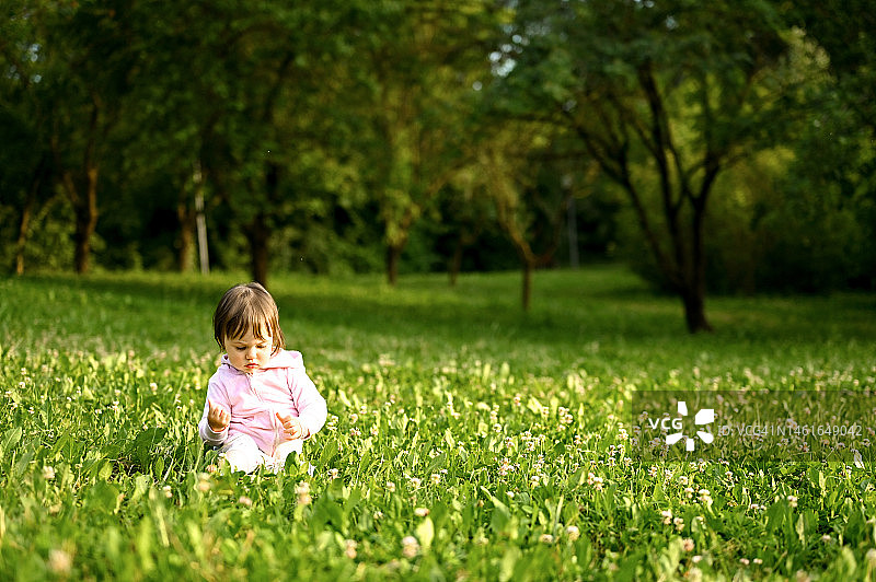 小探险家坐在乡下春天的草坪上。图片素材