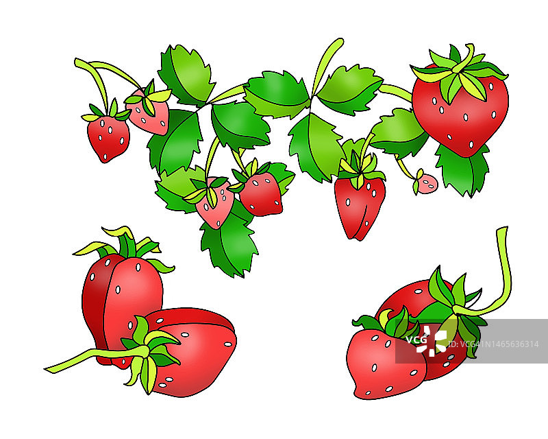 成熟草莓的细节图片素材