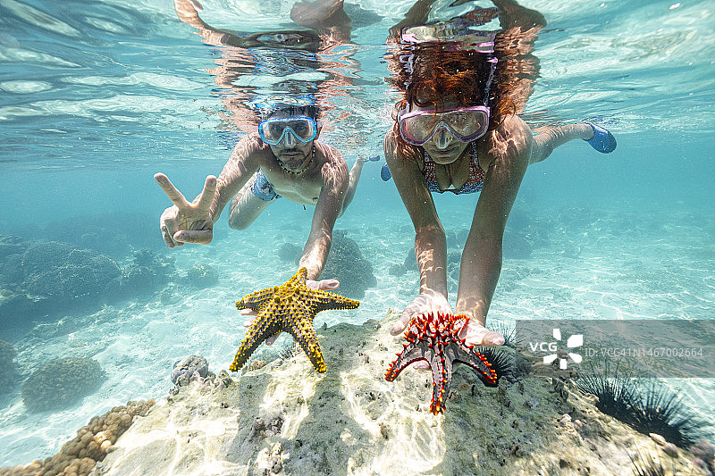 戴着潜水面罩的情侣在水下抱着海星图片素材