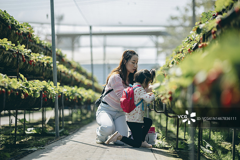 母亲带着孩子站在社区农场学习草莓作物，享受亲子时光图片素材