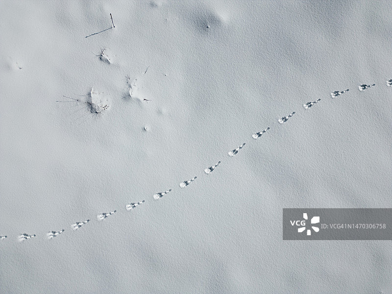 意大利都灵大雪覆盖的土地的鸟瞰图图片素材