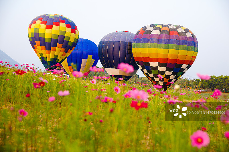 在泰国清莱，多色热气球对抗晴空。图片素材