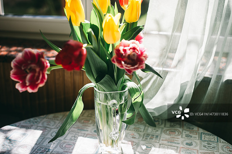 春天的郁金香插在花瓶里，放在阳光照耀的桌子上图片素材