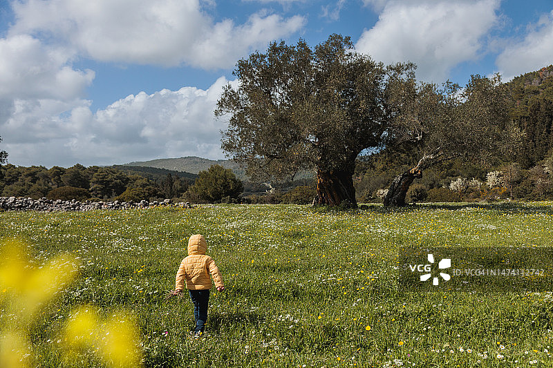 图为，一个学前班的孩子(4 ~ 5岁)走在山间春暖花开的草地上图片素材