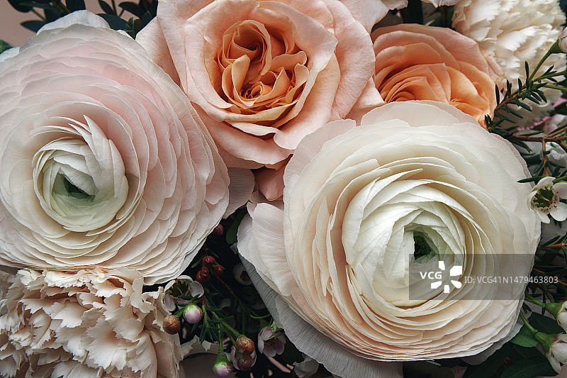 美丽的花束:玫瑰和毛茛。粉红色和米色的花朵组成。自然纹理背景图片素材