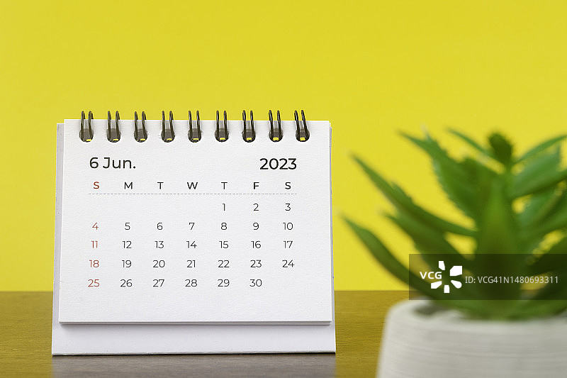 日历桌2023:六月是组织者计划和截止日期的月份，在黄色的纸背景下放置室内植物。图片素材