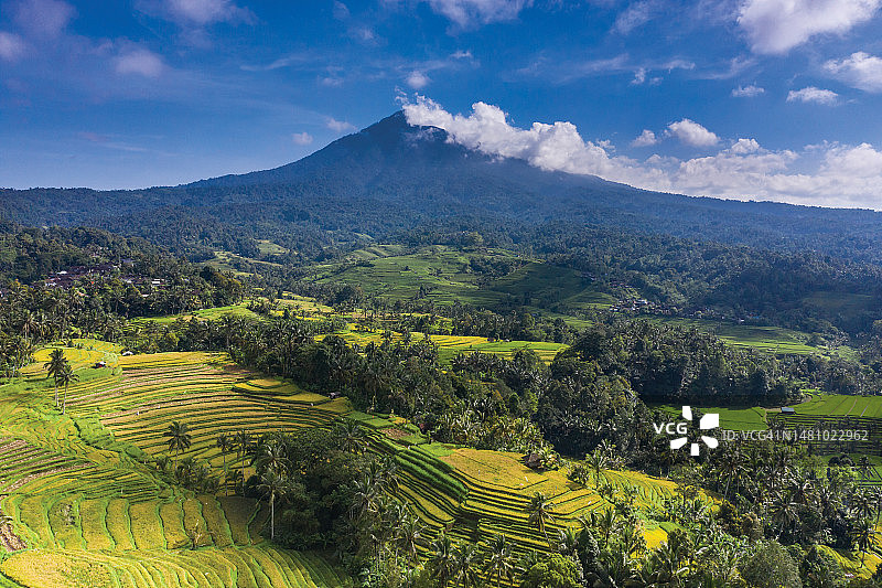 印度尼西亚巴厘岛的巴图卡鲁稻田图片素材
