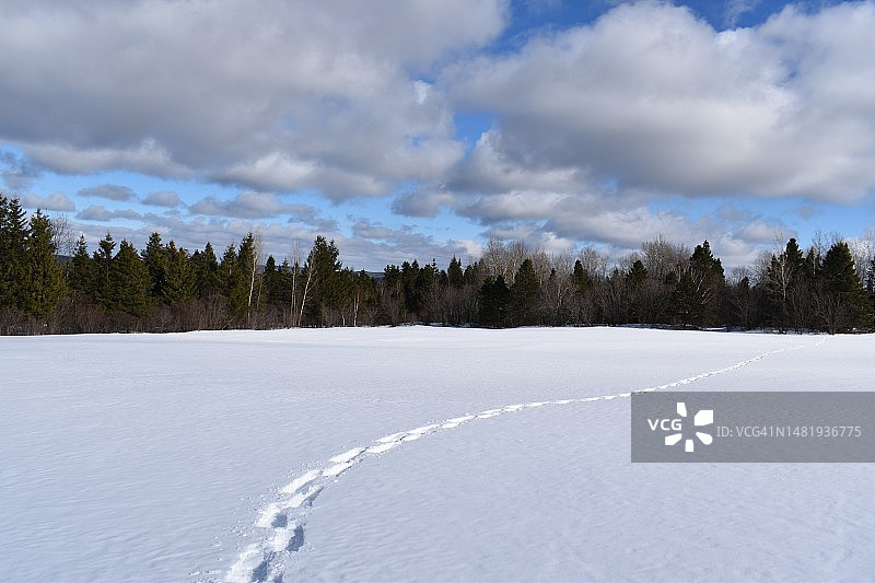 加拿大，白雪覆盖的土地与天空的对比图片素材