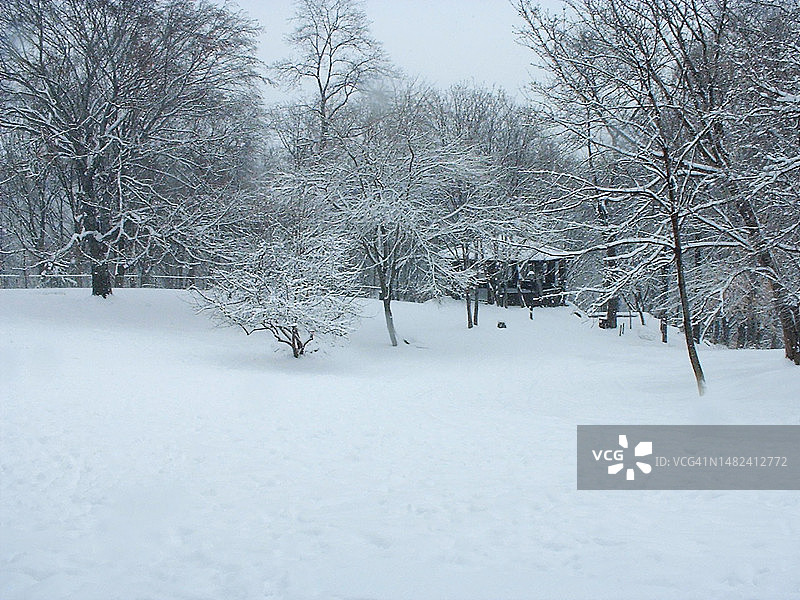 曼哈顿特赖恩堡公园冬日的雪景和凉亭图片素材