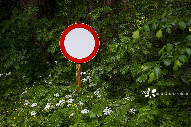 交通标志Durchfahrt Verboten矗立在森林边缘的灌木丛中，没有驾驶标志，交通标志，奥地利上奥地利图片素材