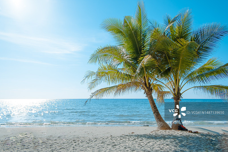 热带海滩上的棕榈树，蓝天自然背景下美丽的海景图片素材