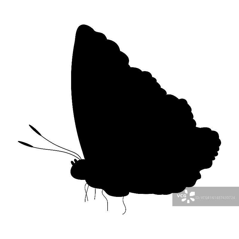 蝴蝶黑色剪影。蝴蝶图标孤立的白色背景。图片素材