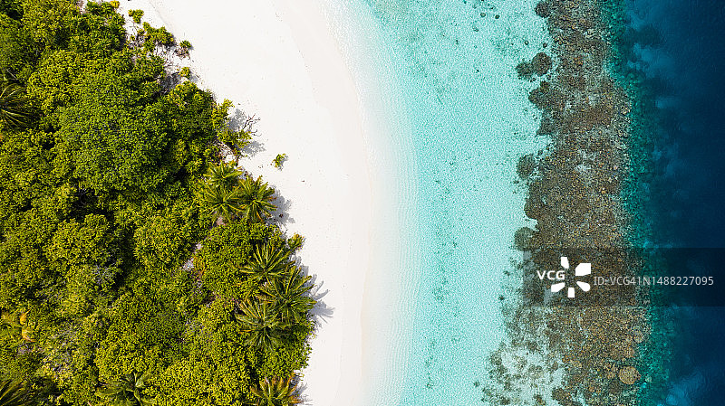 鸟瞰马尔代夫热带海滩和珊瑚礁图片素材