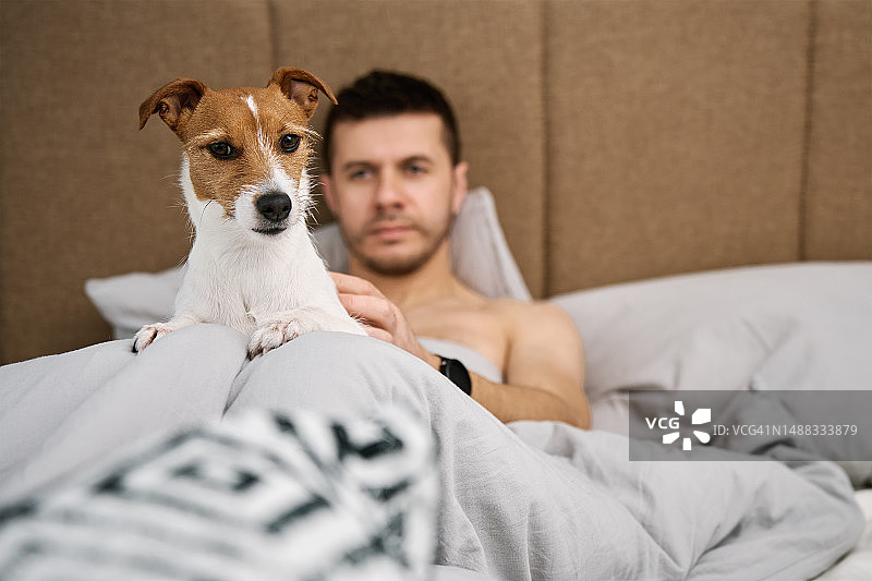 男人和狗一起睡在床上。宠物的感情图片素材