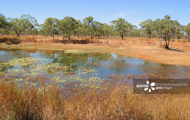 Remote waterhole called a Billabong. Northern Territory. Australia.图片素材