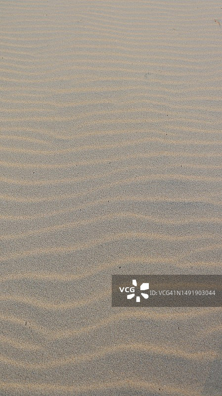海滩海沙图案背景图片素材