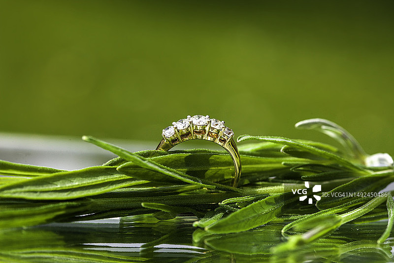 钻石戒指镶嵌在绿叶上图片素材