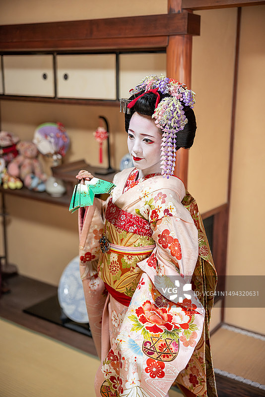 日本舞伎(艺伎训练)在榻榻米房间的镜头前摆姿势图片素材