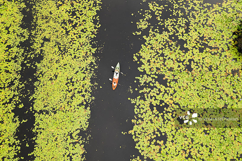 夏季旅行皮划艇。两个亚洲人划着独木舟，在户外探索美丽的沼泽。在一个阳光明媚的日子里，在美丽的沼泽里乘独木舟在河上旅行。健康和幸福。良好的心理健康图片素材