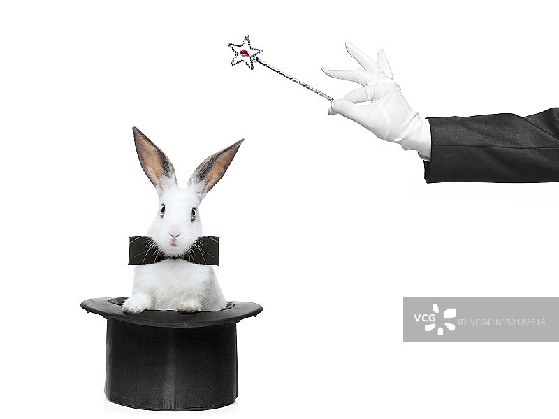 兔子戴着礼帽，打着领结，魔术师手里拿着魔杖图片素材