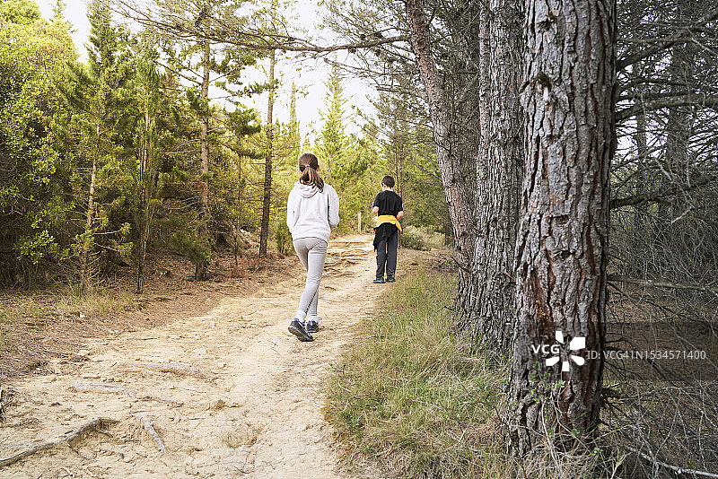 一个女孩和一个穿着运动服的男孩在森林中央的一条土路上徒步旅行的后视图。图片素材
