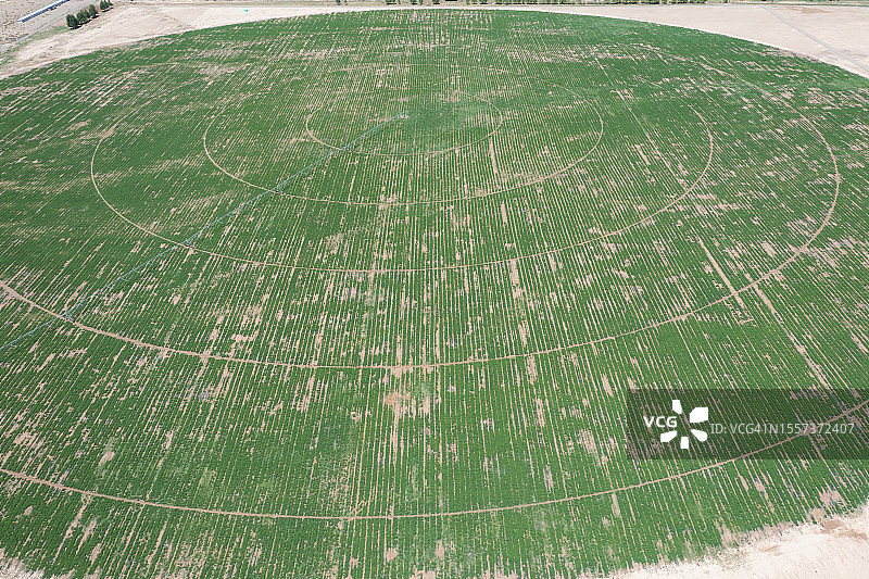 高原上人工灌溉栽培的草地图片素材