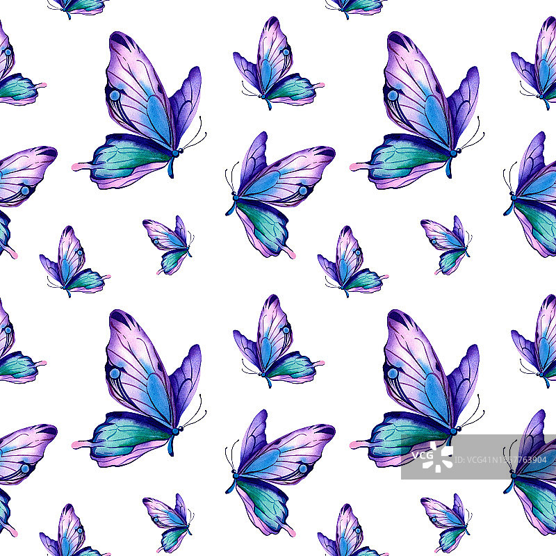 大闪蝶的图案。水彩插图在一个孤立的背景。五彩翅膀，紫色的，粉色的。动物,野生动物。图片素材