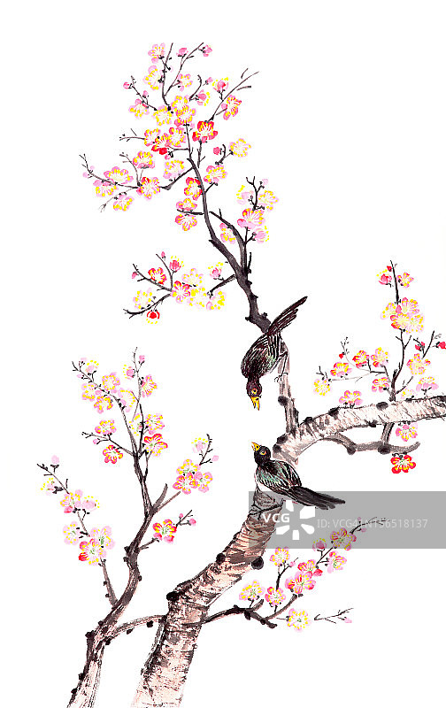 中国传统的梅花画图片素材