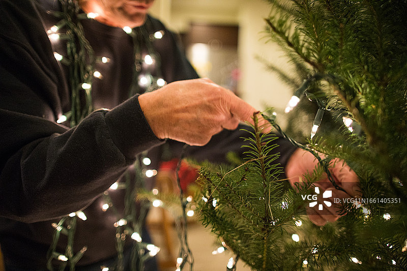 一个人把灯放在活的圣诞树上的详细视图图片素材