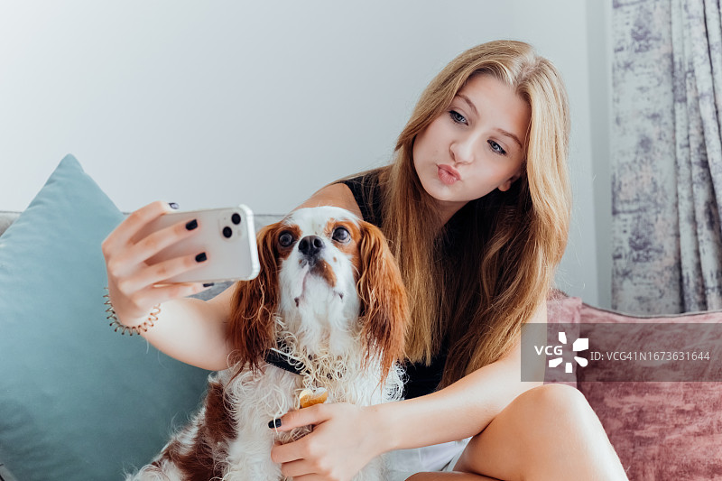 漂亮女孩和西班牙猎犬用手机自拍。女青少年与纯种狗宠物和手机做有趣的照片。图片素材