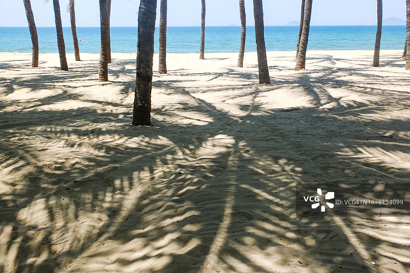 越南瓜代海滩椰子树的阴影背景图片素材