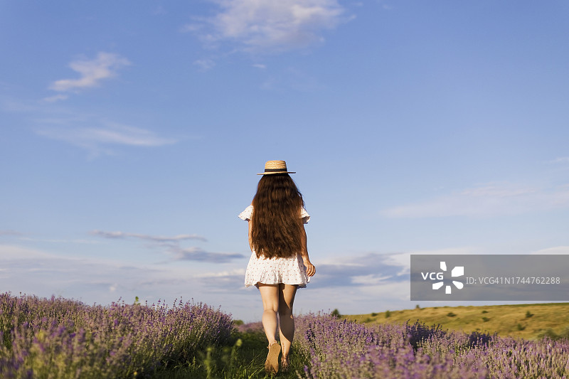 戴草帽的年轻女子走在薰衣草地里图片素材