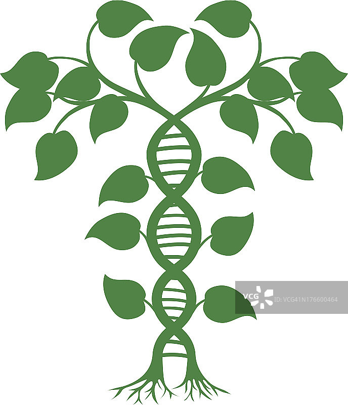 DNA自然植物图片素材