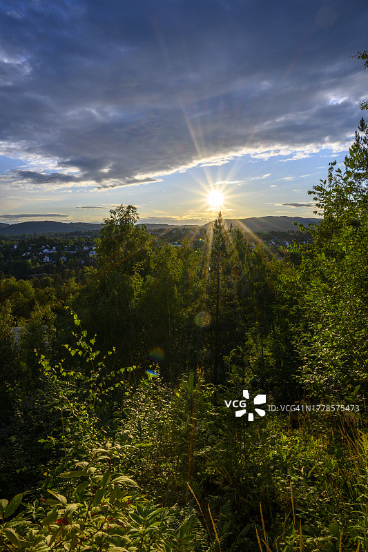 日落时分，挪威奥斯陆，树木映衬天空的美景图片素材