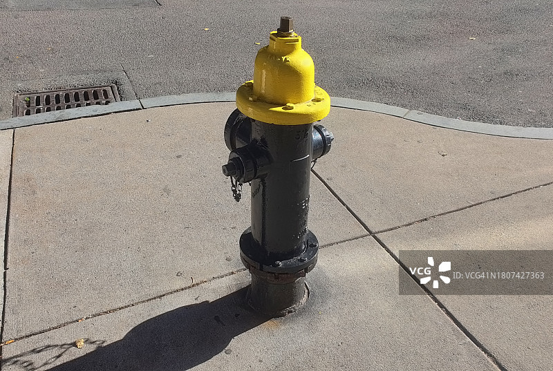 波士顿街道上五颜六色的消防栓图片素材