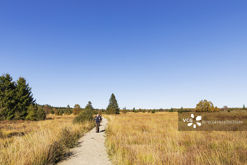 比利时，列日省，高级徒步旅行者跟随高沼泽-艾菲尔自然公园的路线图片素材