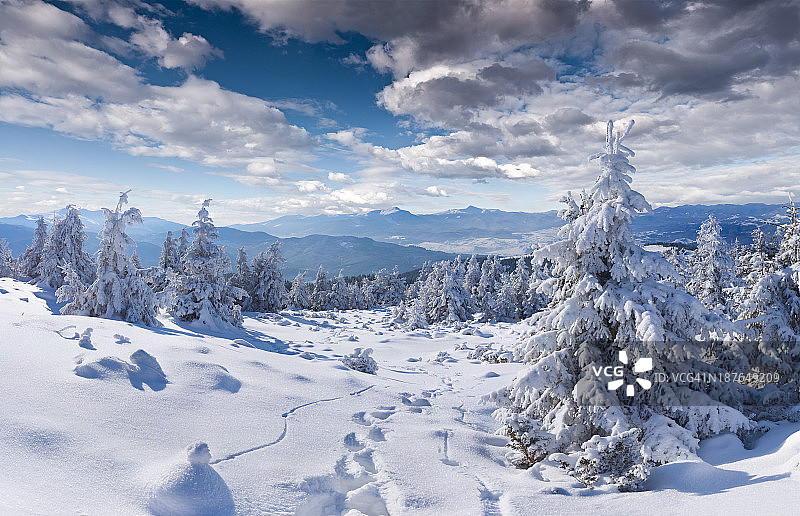 冬季景色的全景图图片素材