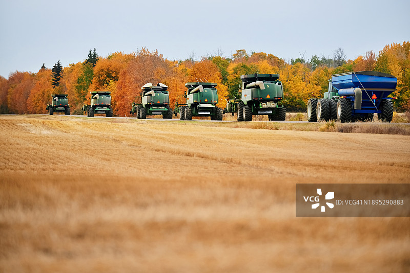 农用拖拉机、挂车和联合收割机沿着农田行驶图片素材