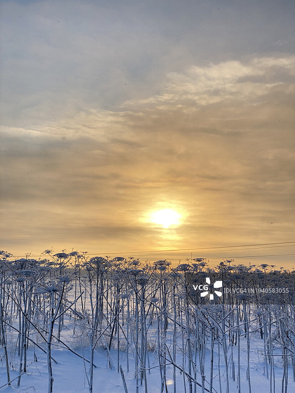 日落时白雪覆盖的田野映衬天空的美景图片素材