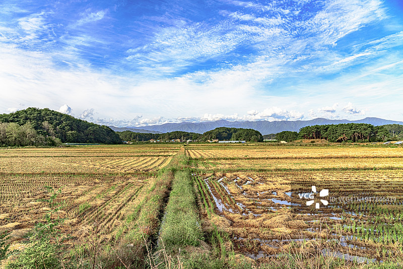 稻田，农村，韩国，没有人，照片，山，岭，户外，美丽的自然，旅游目的地图片素材