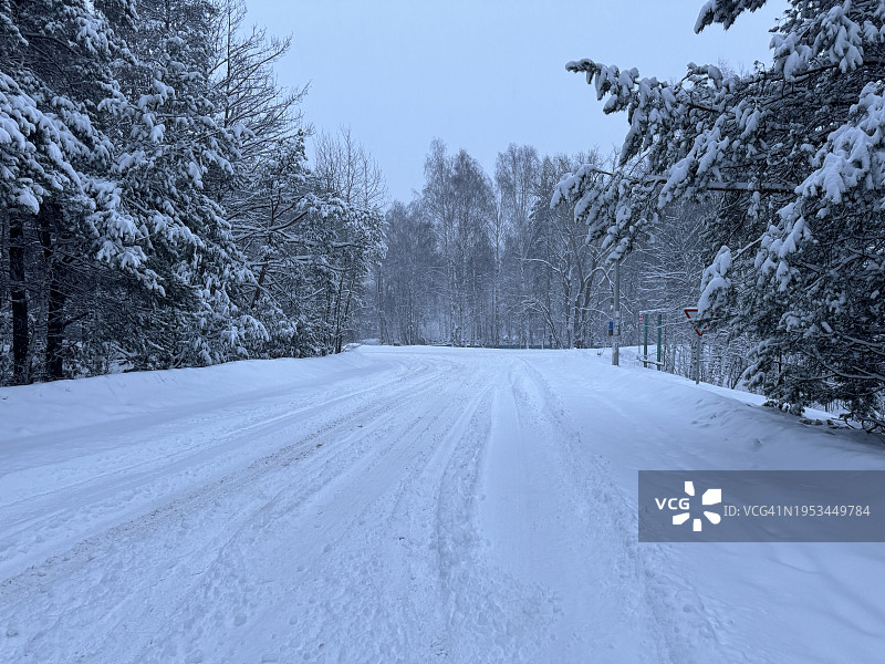 俄罗斯，冬天森林里空旷的道路图片素材