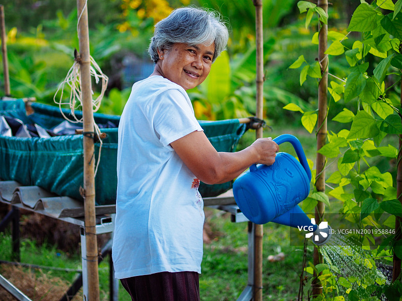 亚洲老妇人在给植物浇水图片素材
