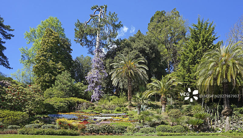 植物园，Villa Carlotta, Tremezzo, Lago di Como, Lake Como，伦巴第，意大利，欧洲图片素材