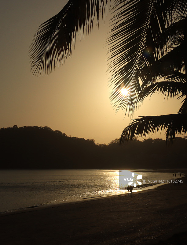 落日在棕榈叶剪影后的海滩景色图片素材