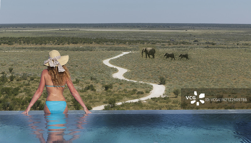 纳米比亚。在豪华度假村看大象的女人。图片素材