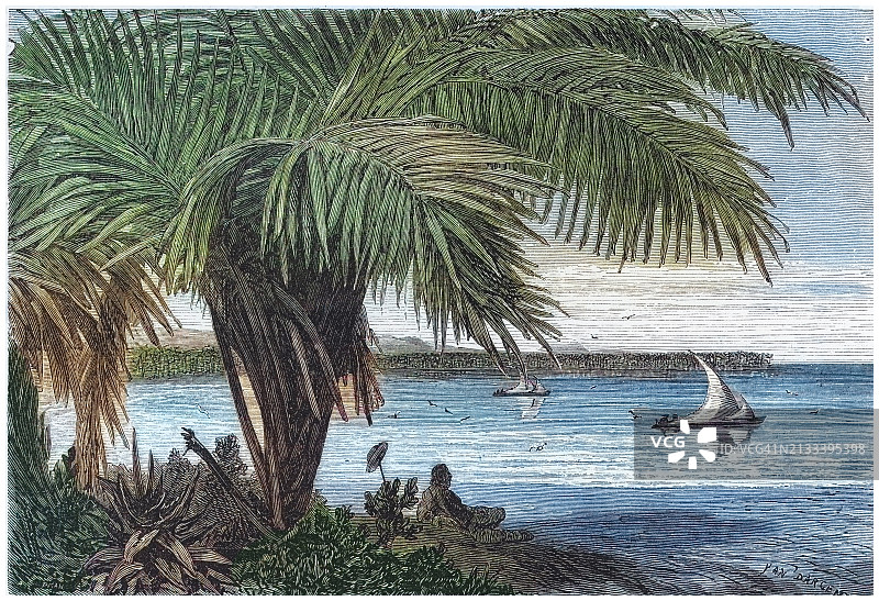 古老的沙滩雕刻插图与椰树图片素材