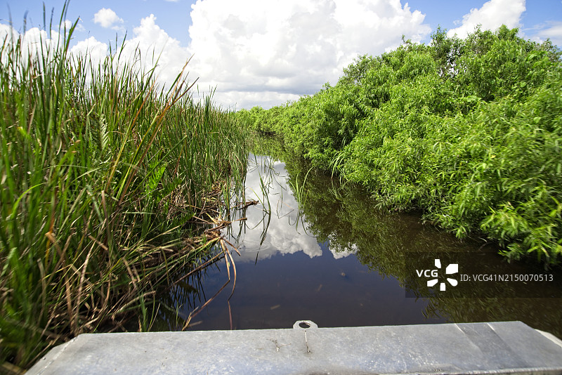佛罗里达大沼泽地国家公园图片素材