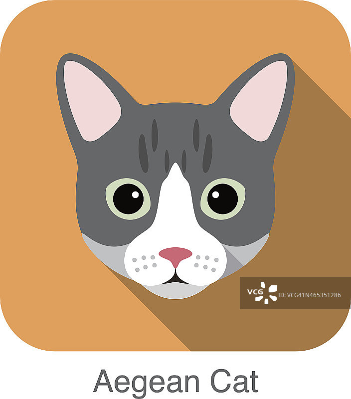 爱琴海猫，猫品种脸卡通平面图标设计图片素材